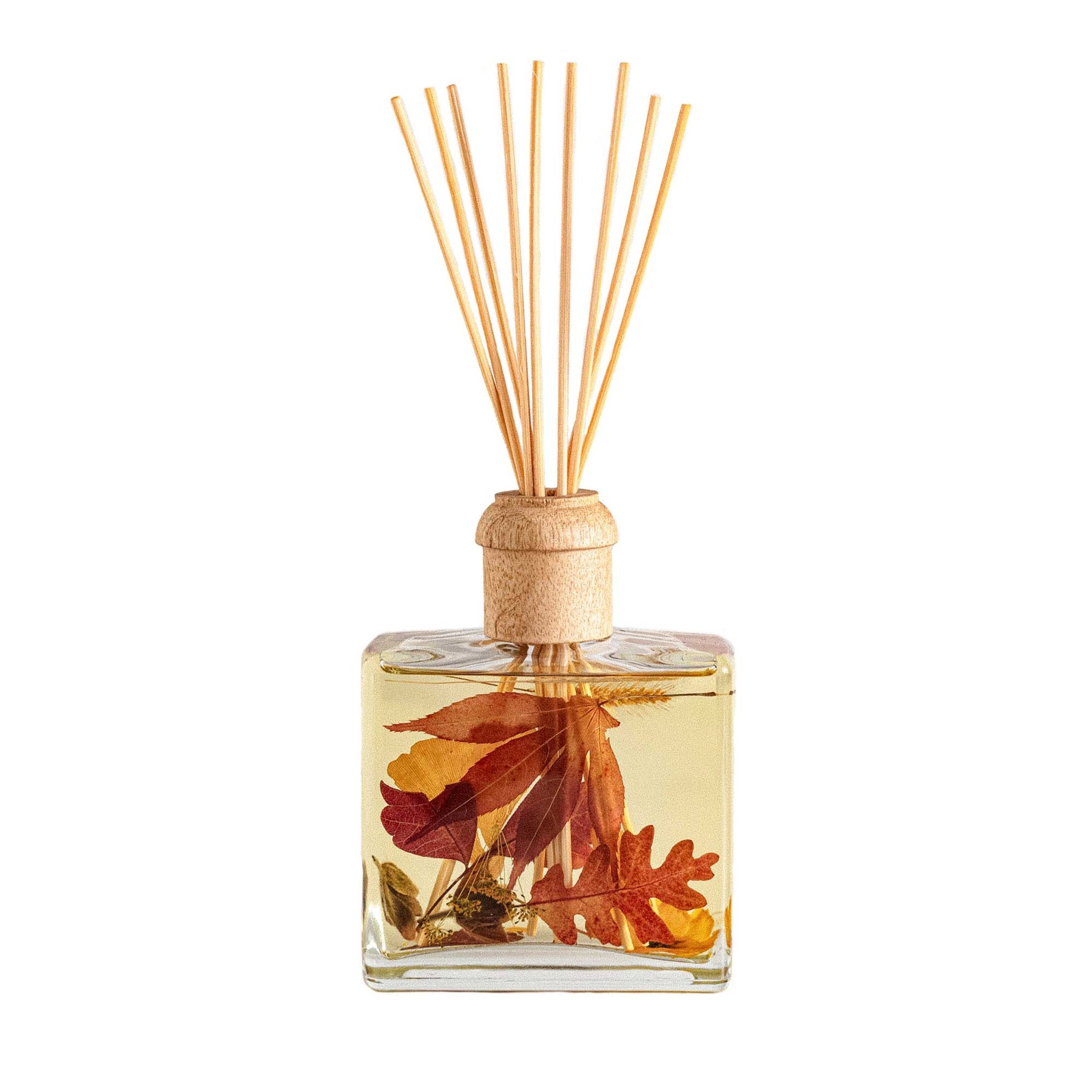 Harvest Pumpkin 13 OZ Botonical Diffuser