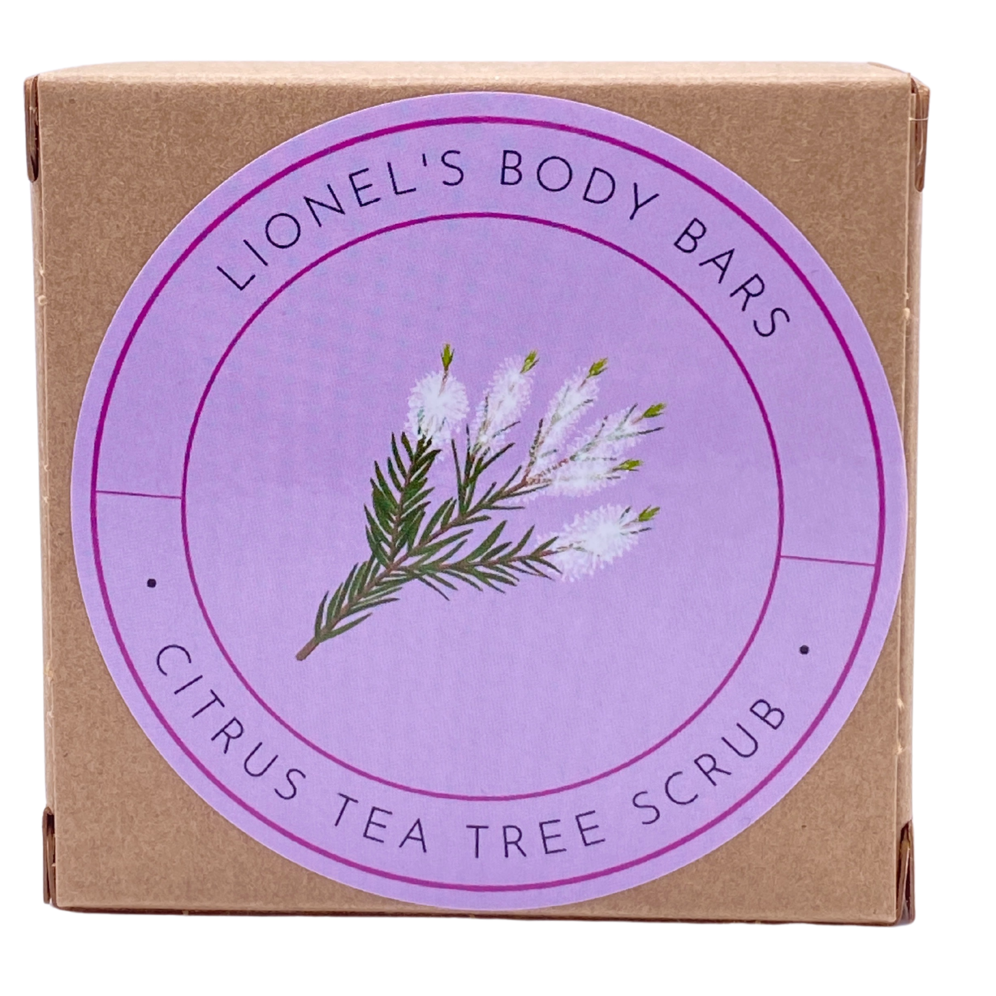 Citrus Tea Tree Scrub Body Bar